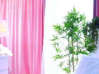 ArtTeasee bongacams stream image, 02.08.2025 08:40