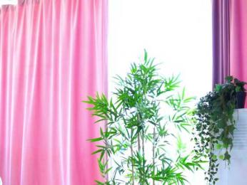 ArtTeasee bongacams stream image, 11.08.2025 08:00