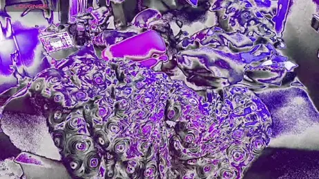 bukkakebae1 stripchat stream image