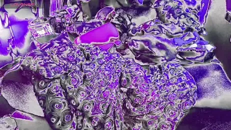 bukkakebae1 stripchat stream image