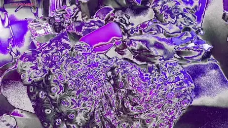 bukkakebae1 stripchat stream image