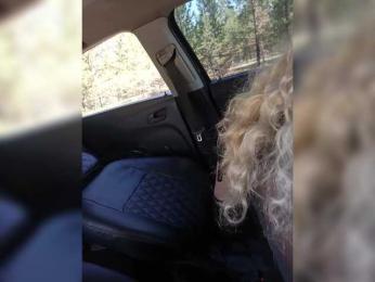 _AMBASSADOR_ bongacams stream image