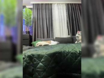 MagicMelody bongacams stream image