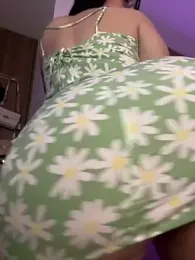 Megan_lu2 stripchat stream image, 15.02.2025 02:50