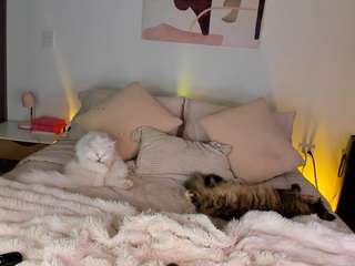 ahinoaa camsoda stream image