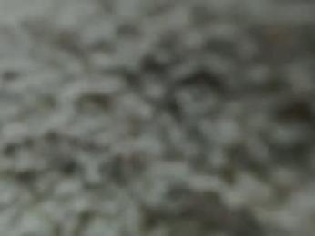 lady____a chaturbate stream image, 22.09.2025 15:40