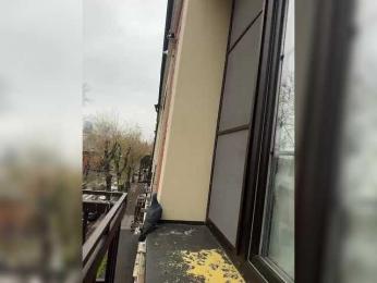 Tvoyasamka77 bongacams stream image, 22.10.2025 03:20