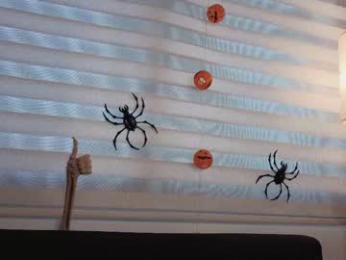 midori__san chaturbate stream image