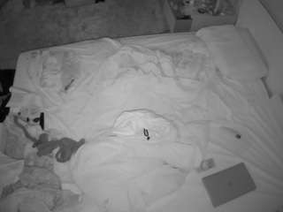 voyeurcam-julmodels-whitebed-3 camsoda stream image, 14.11.2025 19:30