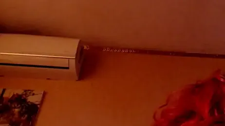 GloriaUpperLove stripchat stream image, 21.11.2025 11:10