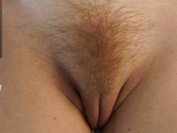 diffgirls1-1 bongacams stream image, 28.01.2025 15:20