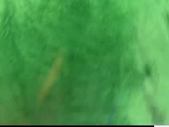 laurenbrite chaturbate stream image