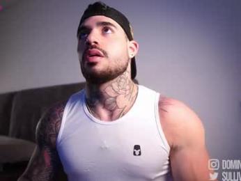dominic_sullivan1 chaturbate stream image