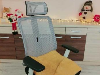 XKimoraX bongacams stream image