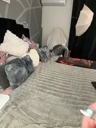 krysstal003 stripchat stream image