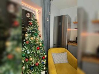 OAO_Sofi bongacams stream image, 29.12.2025 18:40