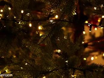 ms_seductive chaturbate stream image, 30.12.2025 16:00