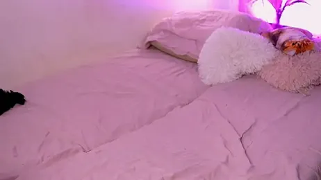 ameliaminkx stripchat stream image