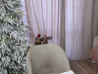 -Molly- bongacams stream image, 02.01.2026 02:40