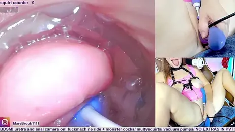 MaryBrook1 stripchat stream image, 07.01.2026 22:00