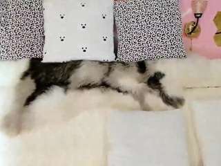 maryelle camsoda stream image