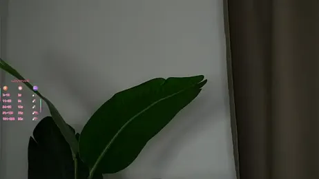 LillianLester stripchat stream image