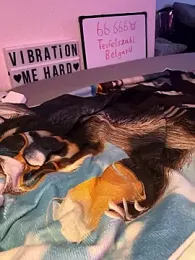 secret_dream415 stripchat stream image