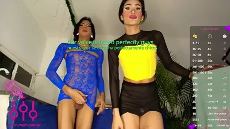 Bigdickgirls_02 stripchat stream image, 17.01.2026 19:10