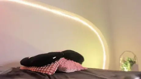 katiepeach_ stripchat stream image, 19.01.2026 12:00
