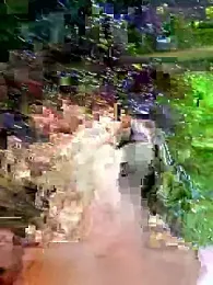 Public_Katrisha stripchat stream image