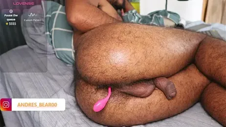 Little_Bear00 stripchat stream image, 04.02.2026 15:10