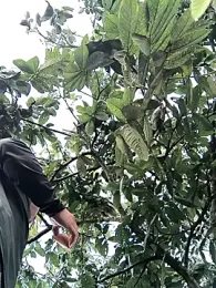 lamejorpene stripchat stream image