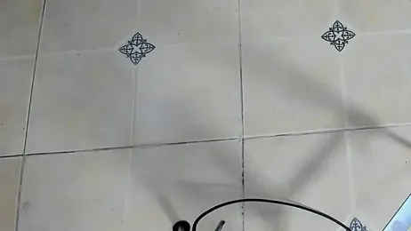 playsgirlhot stripchat stream image