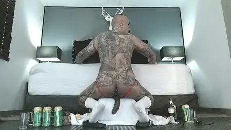 danilog515 stripchat stream image