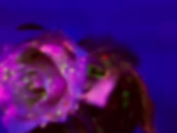 heybanan chaturbate stream image