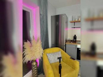 OAO_Sofi bongacams stream image, 18.02.2026 17:30