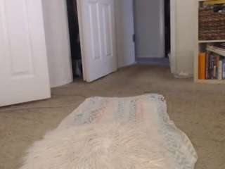 elegance camsoda stream image