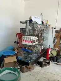 Paul22cm- stripchat stream image