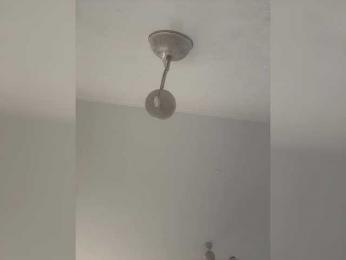 jamaykaa bongacams stream image