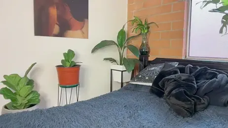 Andy_Belier23 stripchat stream image