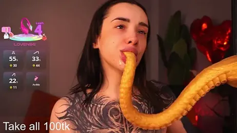 EvaCanton stripchat stream image