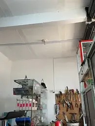 Paul22cm- stripchat stream image