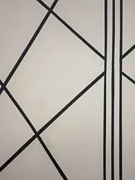 CRAZY-BOY99 stripchat stream image