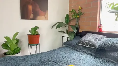 Andy_Belier23 stripchat stream image