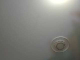 apotheosiss camsoda stream image