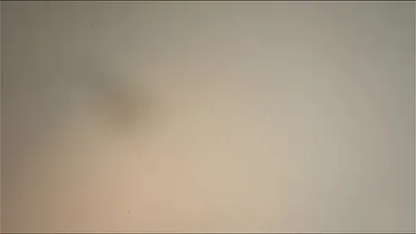 happynewdear stripchat stream image