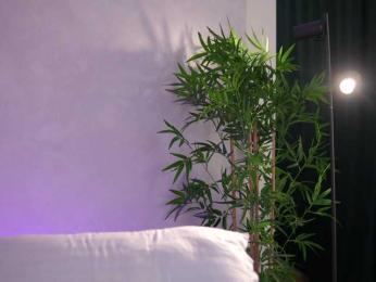 ArtTeasee bongacams stream image, 16.03.2026 07:40