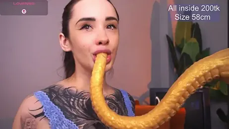 EvaCanton stripchat stream image