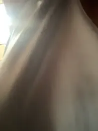 Hall_16 stripchat stream image, 22.03.2026 19:30