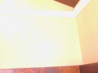 molly-jackson camsoda stream image